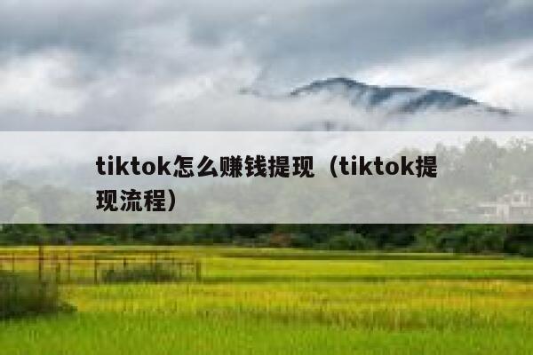 tiktok怎么赚钱提现（tiktok提现流程） 第1张