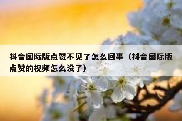 抖音国际版点赞不见了怎么回事(抖音国际版点赞的视频怎么没了) 第1张 抖音国际版点赞不见了怎么回事(抖音国际版点赞的视频怎么没了) 第1张