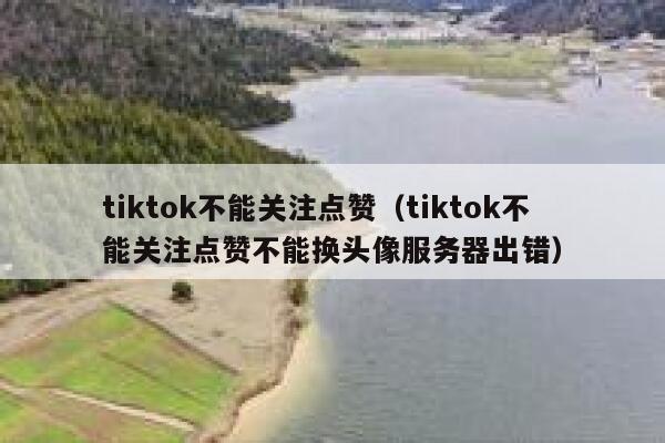 tiktok不能关注点赞（tiktok不能关注点赞不能换头像服务器出错） 第1张