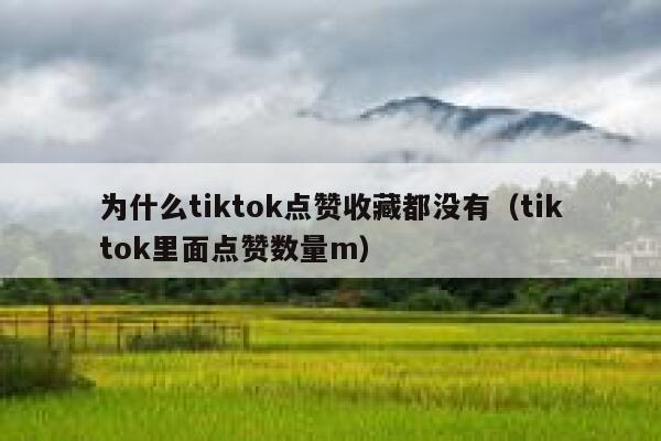 为什么tiktok点赞收藏都没有（tiktok里面点赞数量m） 第1张