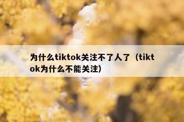 为什么tiktok关注不了人了（tiktok为什么不能关注） 第1张