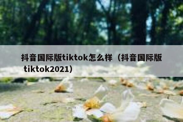 抖音国际版tiktok怎么样(抖音国际版 tiktok2021) 第1张 抖音国际版tiktok怎么样(抖音国际版 tiktok2021) 第1张