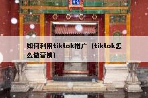 如何利用tiktok推广(tiktok怎么做营销) 第1张 如何利用tiktok推广(tiktok怎么做营销) 第1张