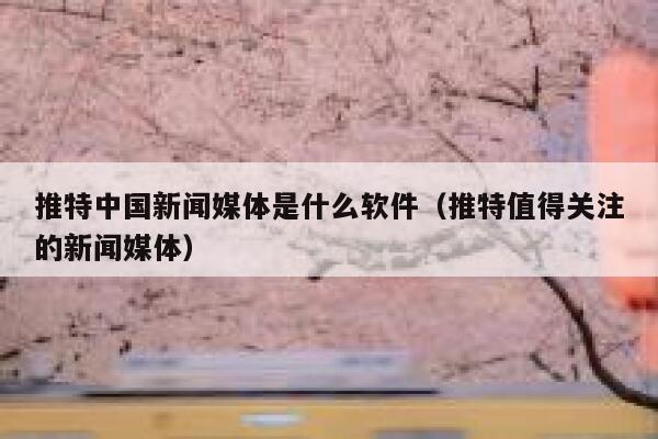 推特中国新闻媒体是什么软件（推特值得关注的新闻媒体） 第1张