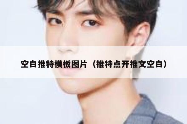 空白推特模板图片(推特点开推文空白) 第1张 空白推特模板图片(推特点开推文空白) 第1张