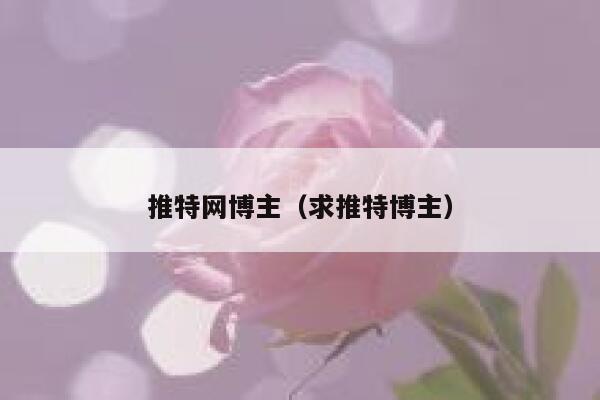 推特网博主（求推特博主） 第1张