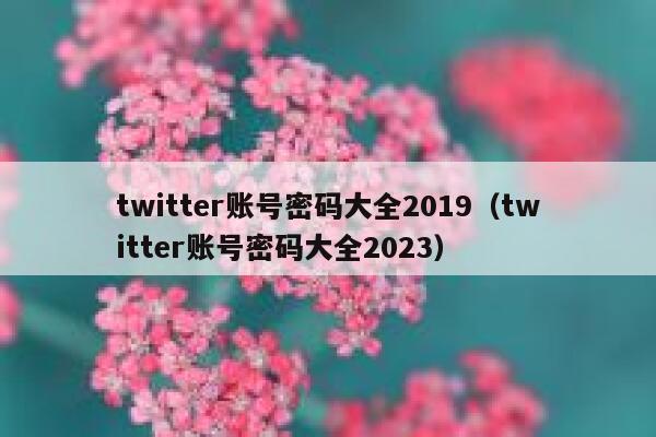 twitter账号密码大全2019（twitter账号密码大全2023） 第1张