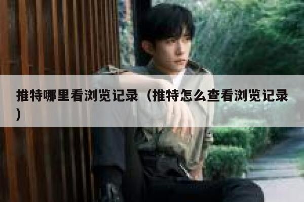 推特哪里看浏览记录(推特怎么查看浏览记录) 第1张 推特哪里看浏览记录(推特怎么查看浏览记录) 第1张