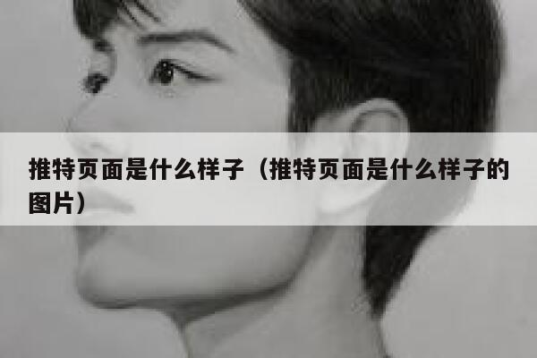 推特页面是什么样子(推特页面是什么样子的图片) 第1张 推特页面是什么样子(推特页面是什么样子的图片) 第1张