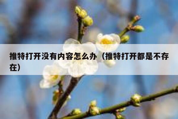 推特打开没有内容怎么办（推特打开都是不存在） 第1张
