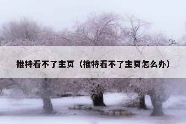 推特看不了主页(推特看不了主页怎么办) 第1张 推特看不了主页(推特看不了主页怎么办) 第1张