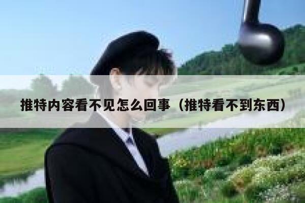 推特内容看不见怎么回事（推特看不到东西） 第1张