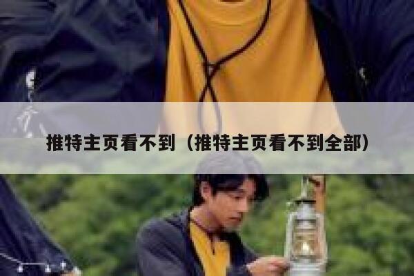 推特主页看不到（推特主页看不到全部） 第1张