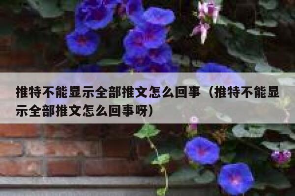 推特不能显示全部推文怎么回事（推特不能显示全部推文怎么回事呀） 第1张