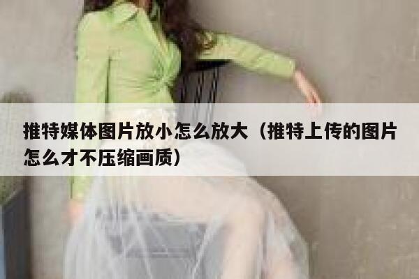 推特媒体图片放小怎么放大（推特上传的图片怎么才不压缩画质） 第1张