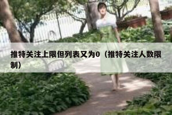 推特关注上限但列表又为0(推特关注人数限制) 第1张 推特关注上限但列表又为0(推特关注人数限制) 第1张