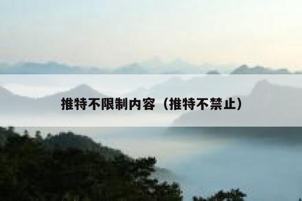 推特不限制内容（推特不禁止） 第1张