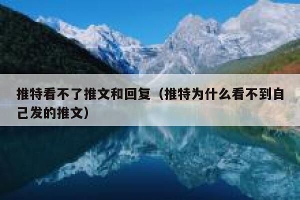 推特看不了推文和回复(推特为什么看不到自己发的推文) 第1张 推特看不了推文和回复(推特为什么看不到自己发的推文) 第1张