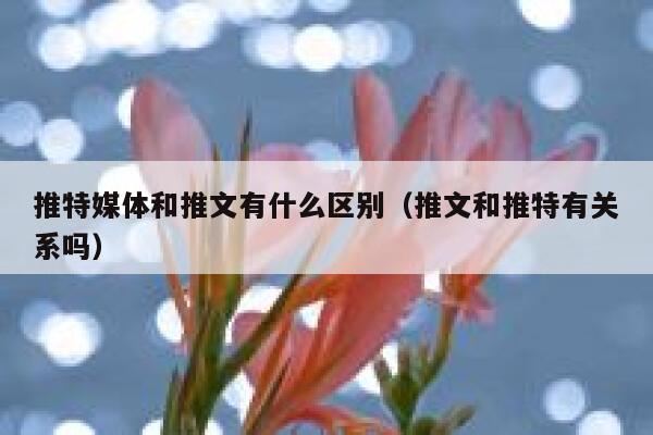 推特媒体和推文有什么区别（推文和推特有关系吗） 第1张