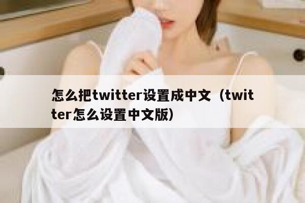 怎么把twitter设置成中文（twitter怎么设置中文版） 第1张