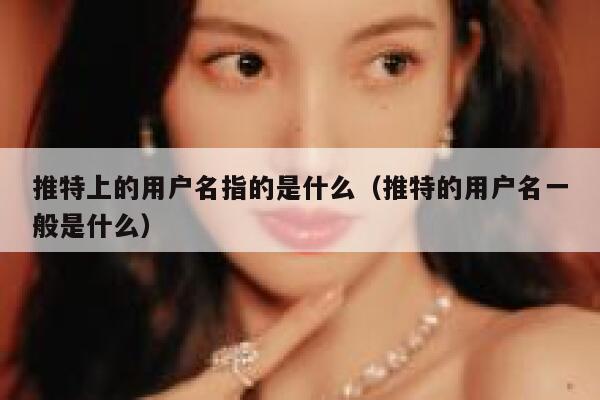 推特上的用户名指的是什么（推特的用户名一般是什么） 第1张