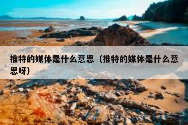 推特的媒体是什么意思（推特的媒体是什么意思呀） 第1张