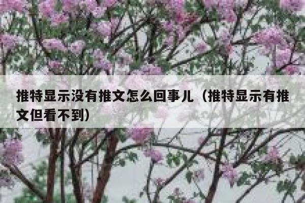 推特显示没有推文怎么回事儿（推特显示有推文但看不到） 第1张