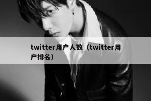 twitter用户人数（twitter用户排名） 第1张