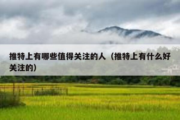 推特上有哪些值得关注的人（推特上有什么好关注的） 第1张