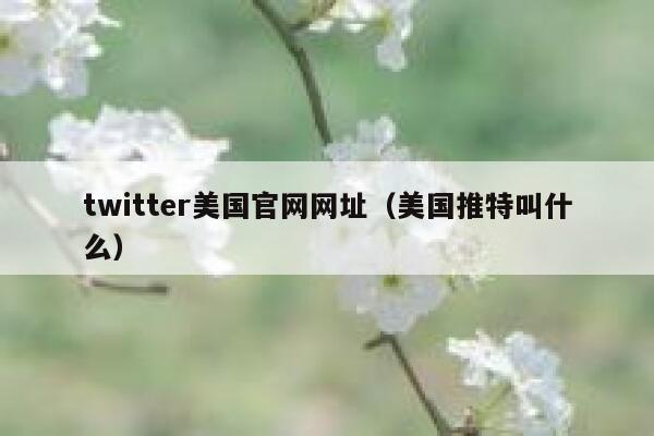 twitter美国官网网址（美国推特叫什么） 第1张