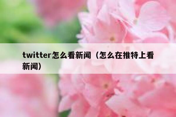 twitter怎么看新闻（怎么在推特上看新闻） 第1张