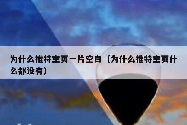 为什么推特主页一片空白（为什么推特主页什么都没有） 第1张