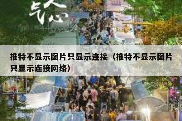 推特不显示图片只显示连接（推特不显示图片只显示连接网络） 第1张