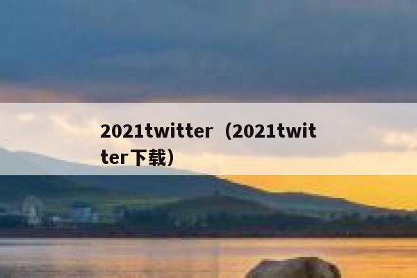 2021twitter（2021twitter下载） 第1张