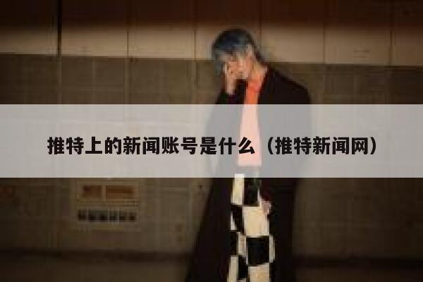 推特上的新闻账号是什么（推特新闻网） 第1张