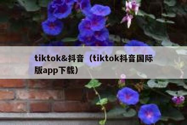 tiktok&抖音(tiktok抖音国际版app下载) 第1张 tiktok&抖音(tiktok抖音国际版app下载) 第1张