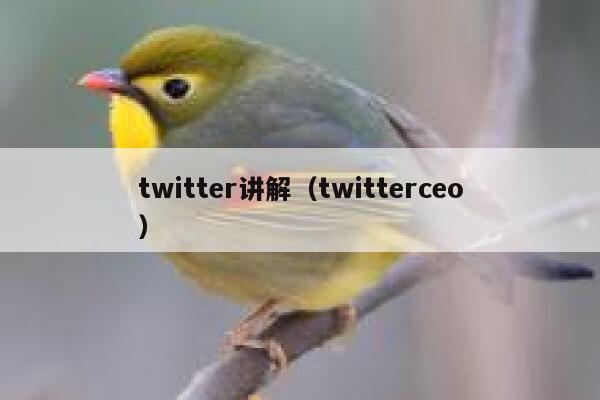 twitter讲解（twitterceo） 第1张