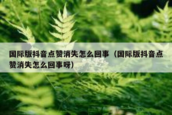 国际版抖音点赞消失怎么回事(国际版抖音点赞消失怎么回事呀) 第1张 国际版抖音点赞消失怎么回事(国际版抖音点赞消失怎么回事呀) 第1张