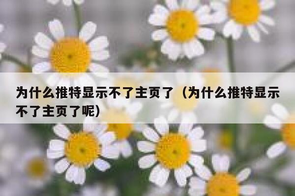 为什么推特显示不了主页了（为什么推特显示不了主页了呢） 第1张