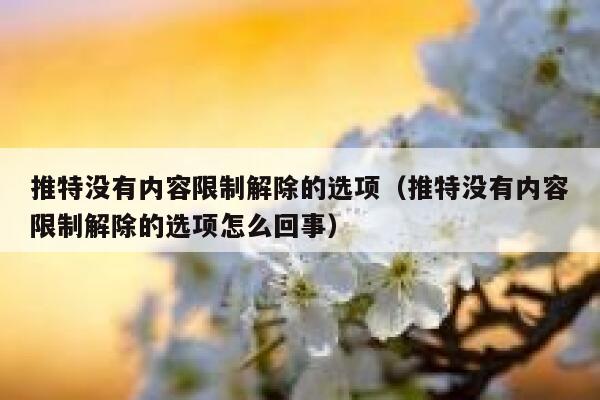 推特没有内容限制解除的选项（推特没有内容限制解除的选项怎么回事） 第1张