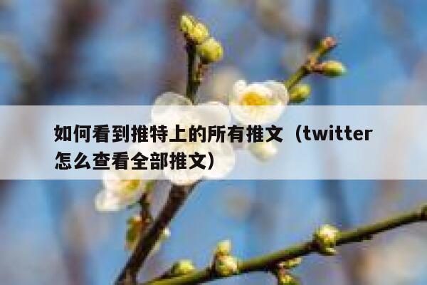 如何看到推特上的所有推文（twitter怎么查看全部推文） 第1张