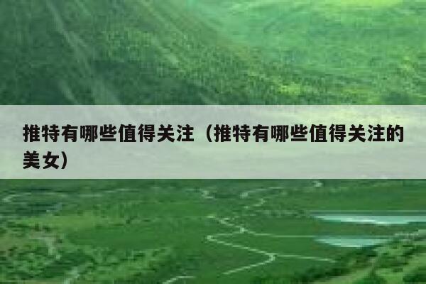 推特有哪些值得关注（推特有哪些值得关注的美女） 第1张