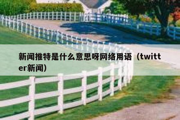 新闻推特是什么意思呀网络用语（twitter新闻） 第1张