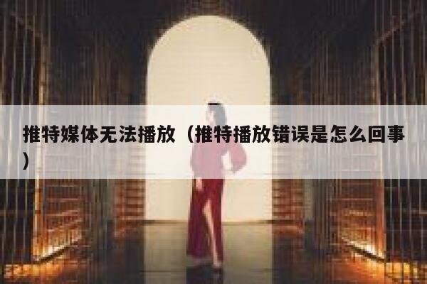 推特媒体无法播放（推特播放错误是怎么回事） 第1张