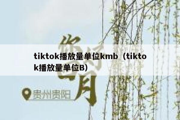 tiktok播放量单位kmb(tiktok播放量单位B) 第1张 tiktok播放量单位kmb(tiktok播放量单位B) 第1张