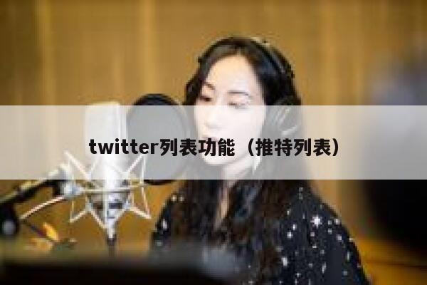 twitter列表功能（推特列表） 第1张