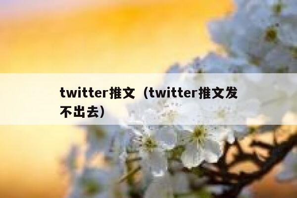 twitter推文（twitter推文发不出去） 第1张
