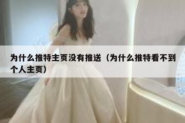 为什么推特主页没有推送(为什么推特看不到个人主页) 第1张 为什么推特主页没有推送(为什么推特看不到个人主页) 第1张