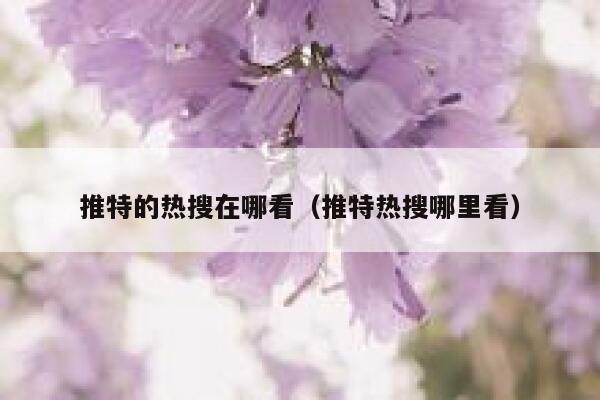 推特的热搜在哪看(推特热搜哪里看) 第1张 推特的热搜在哪看(推特热搜哪里看) 第1张