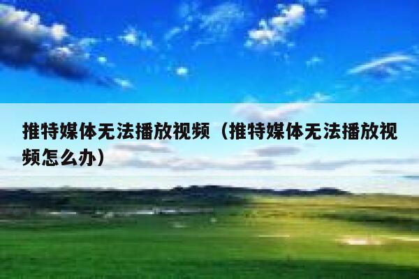 推特媒体无法播放视频(推特媒体无法播放视频怎么办) 第1张 推特媒体无法播放视频(推特媒体无法播放视频怎么办) 第1张